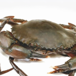 Fresh Live Crabs (per kg)