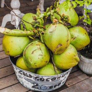 Fresh Mature Coconuts (per piece)