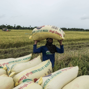 Premium Well-Milled Rice (per 50kg sack)