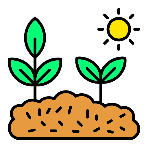 Plantation / Export Crops